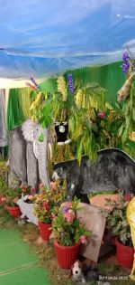 ANIMALS KINGDOM ACTIVITY 06-04-2019 01.jpg